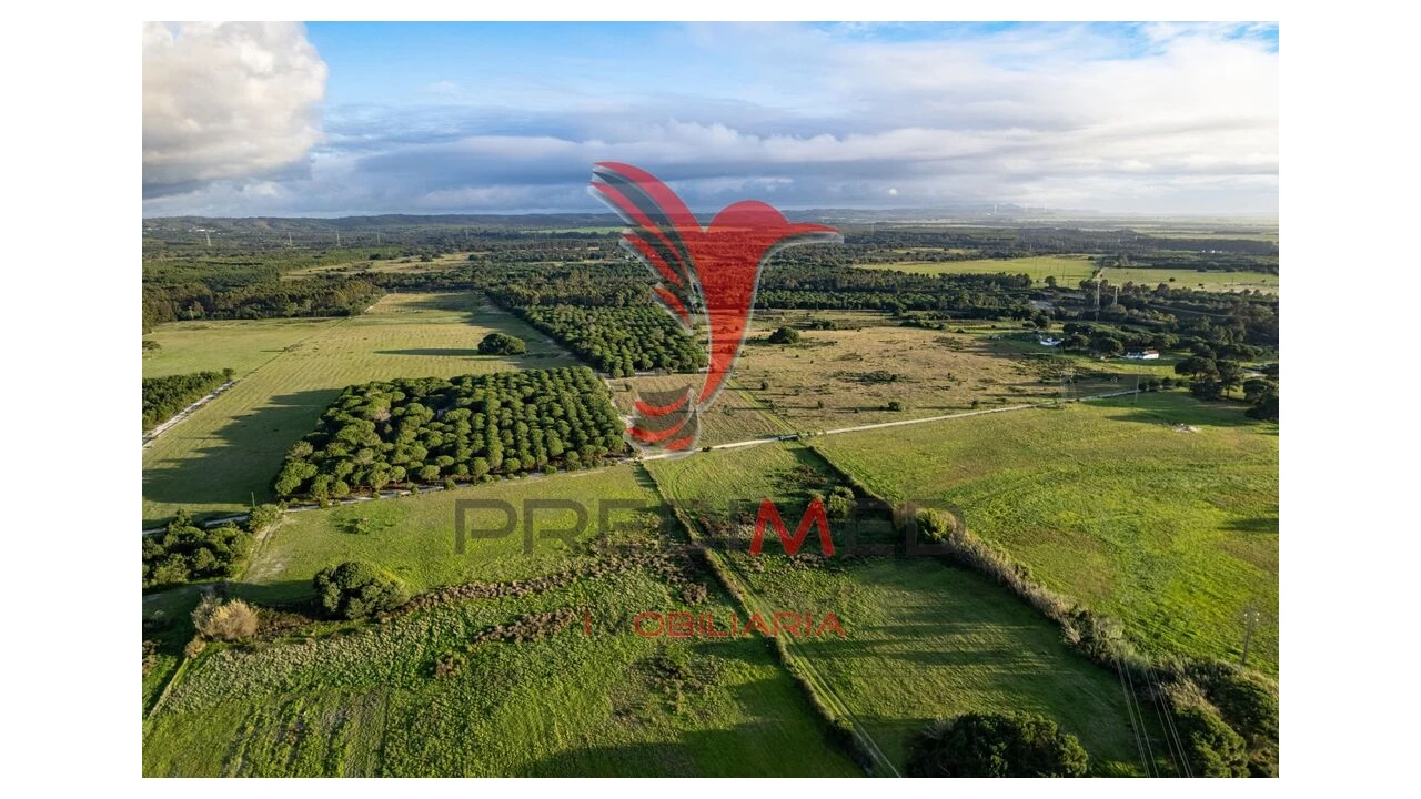 Terreno para Venda em Sines Foto 5