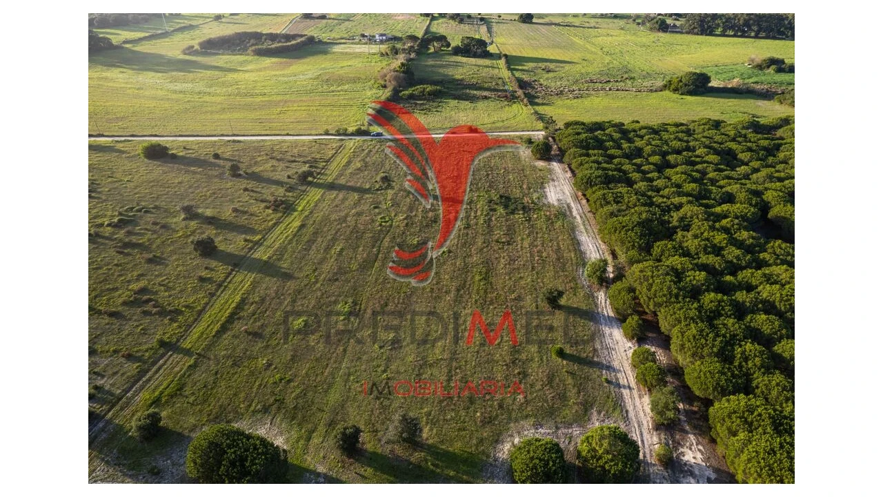 Terreno para Venda em Sines Foto 6