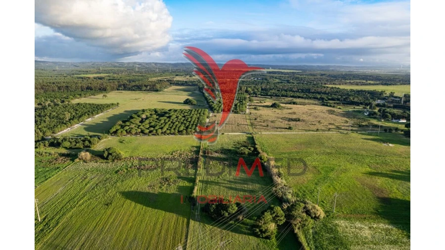 Terreno para Venda em Sines Foto 15