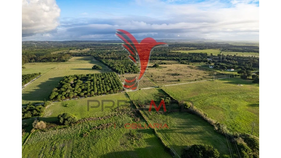 Terreno para Venda em Sines Foto 5