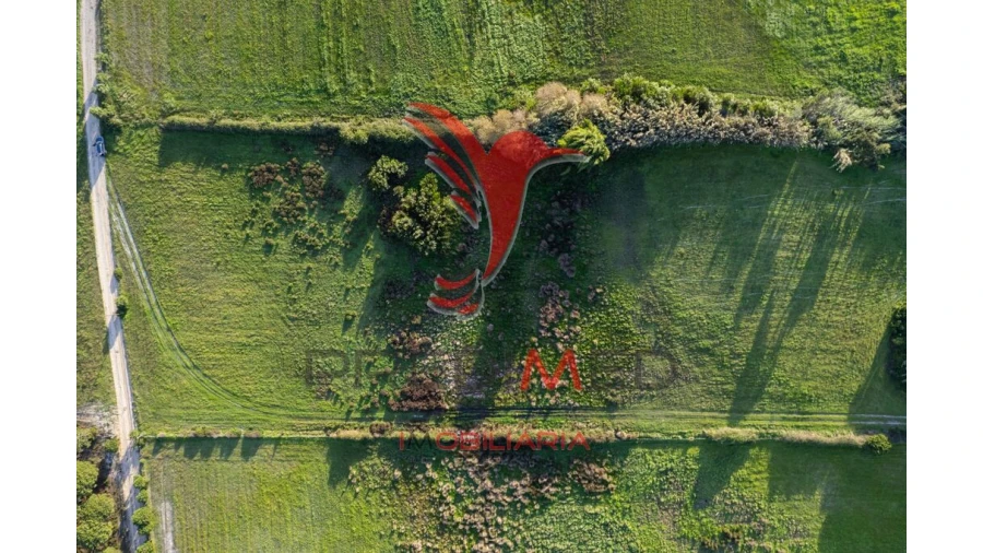 Terreno para Venda em Sines Foto 8