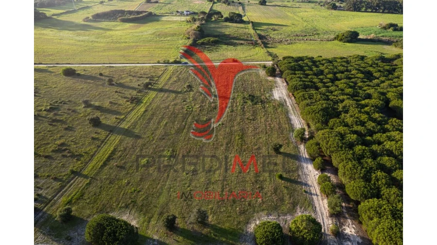 Terreno para Venda em Sines Foto 6