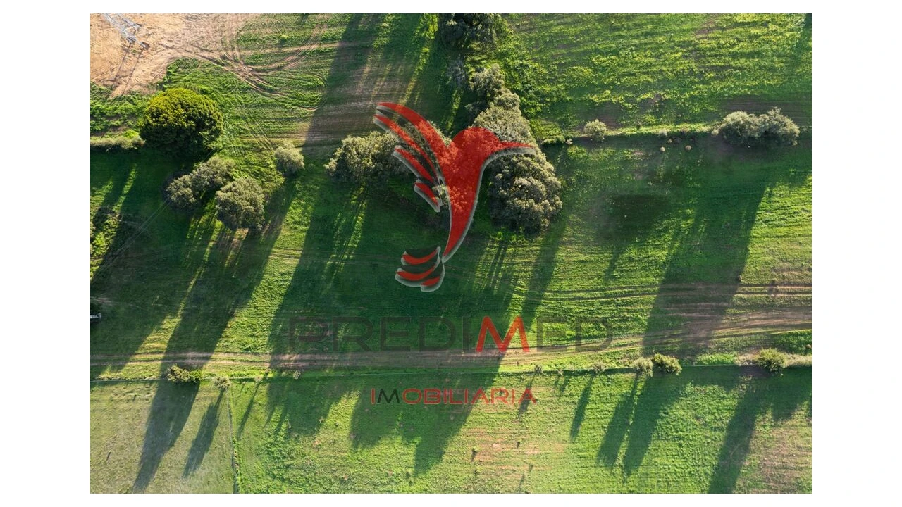 Terreno para Venda em Sines Foto 14