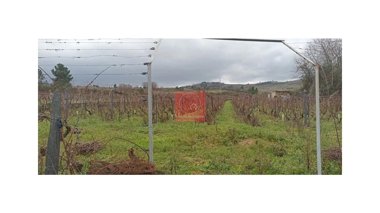 Quinta para Venda em Fontelo Foto 1