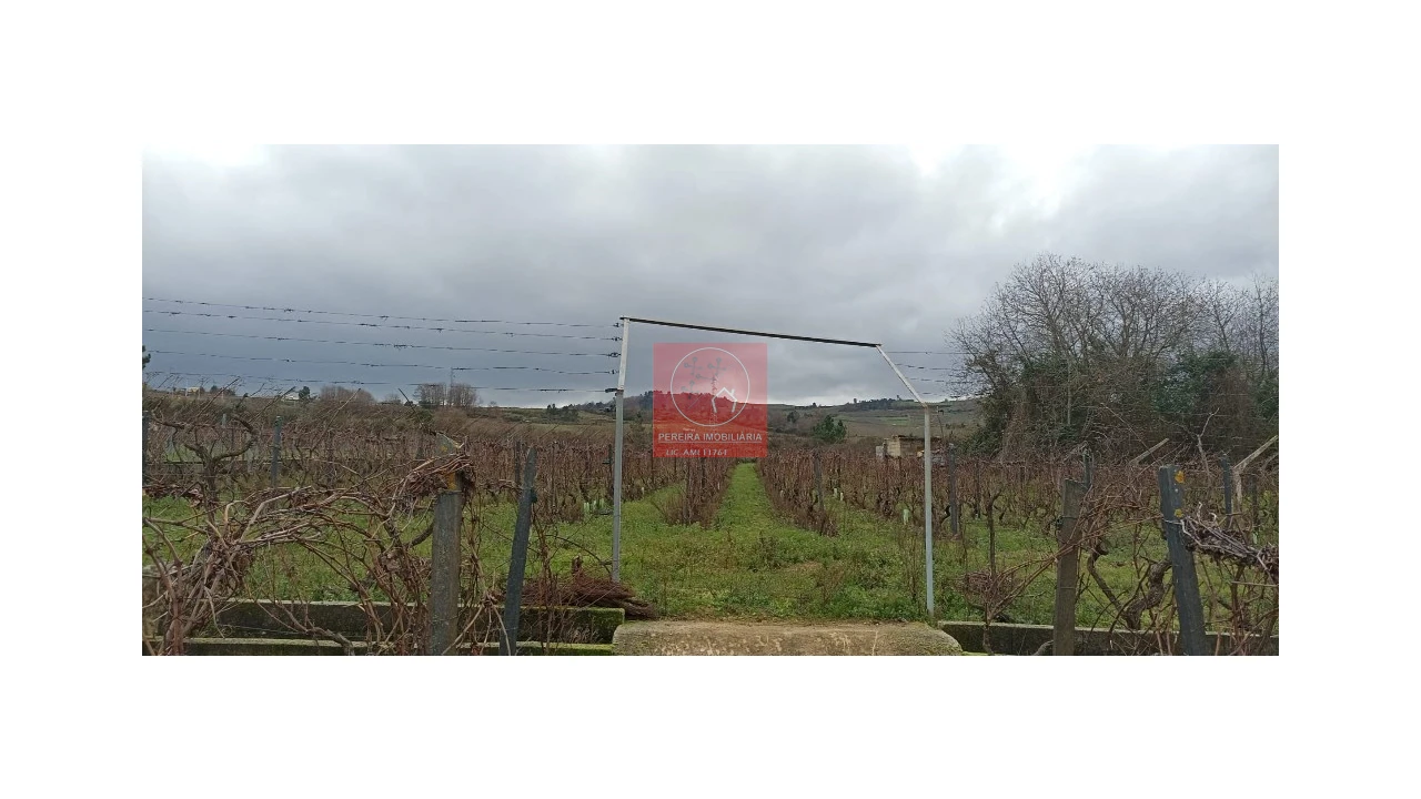 Quinta para Venda em Fontelo Foto 2