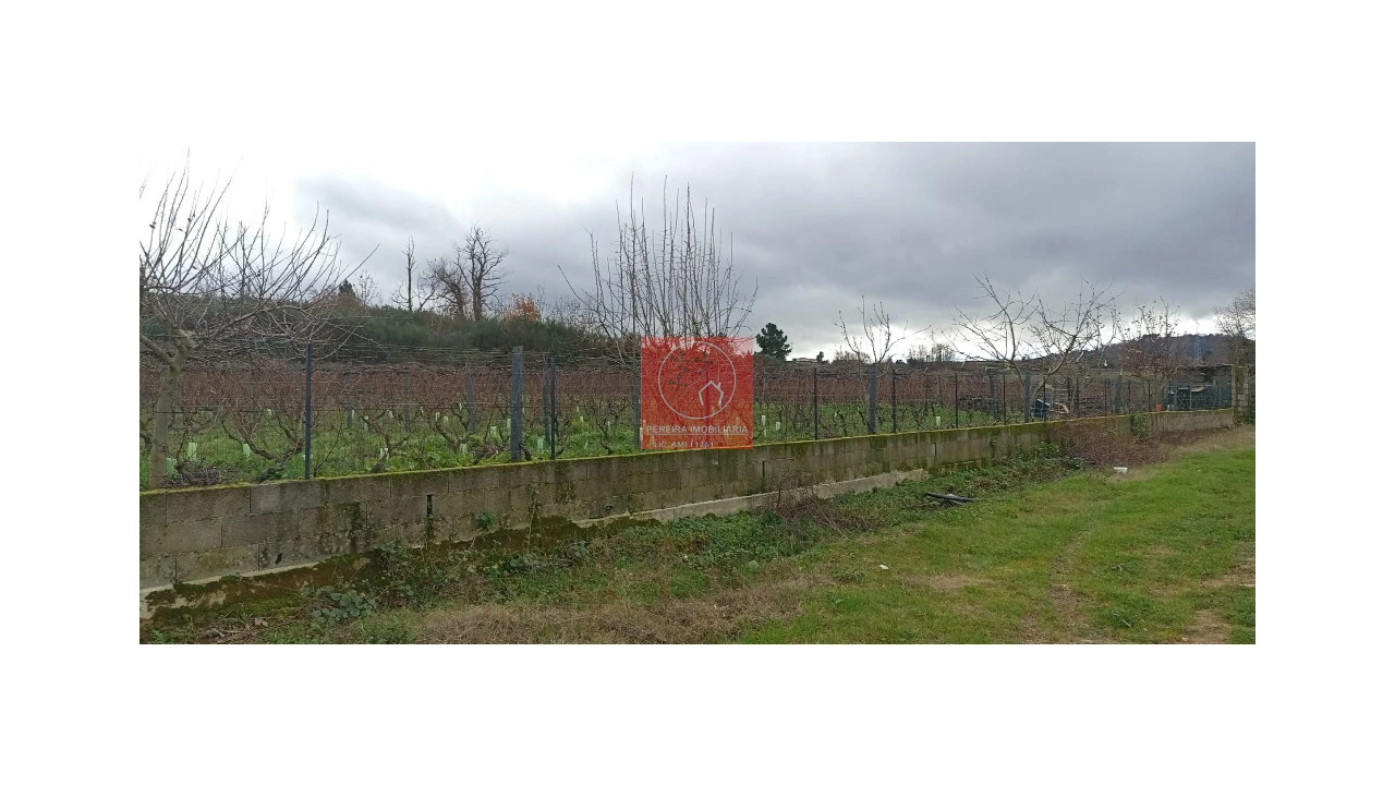 Quinta para Venda em Fontelo Foto 6