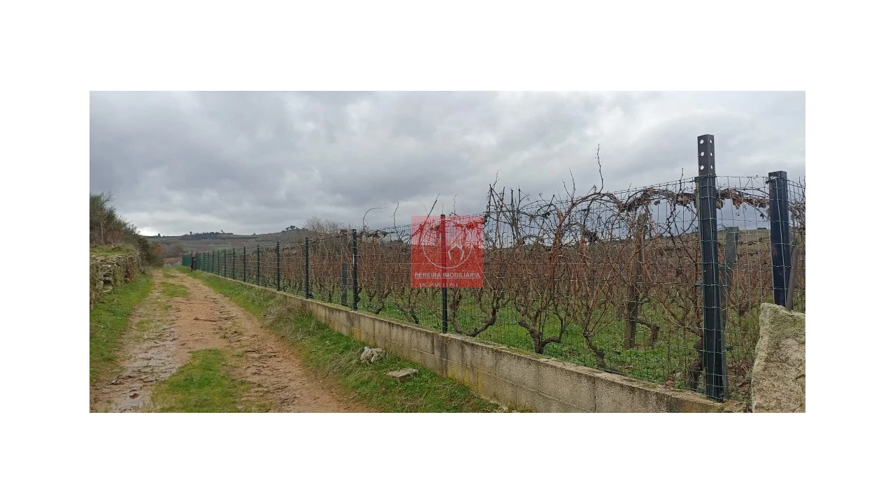 Quinta para Venda em Fontelo Foto 5