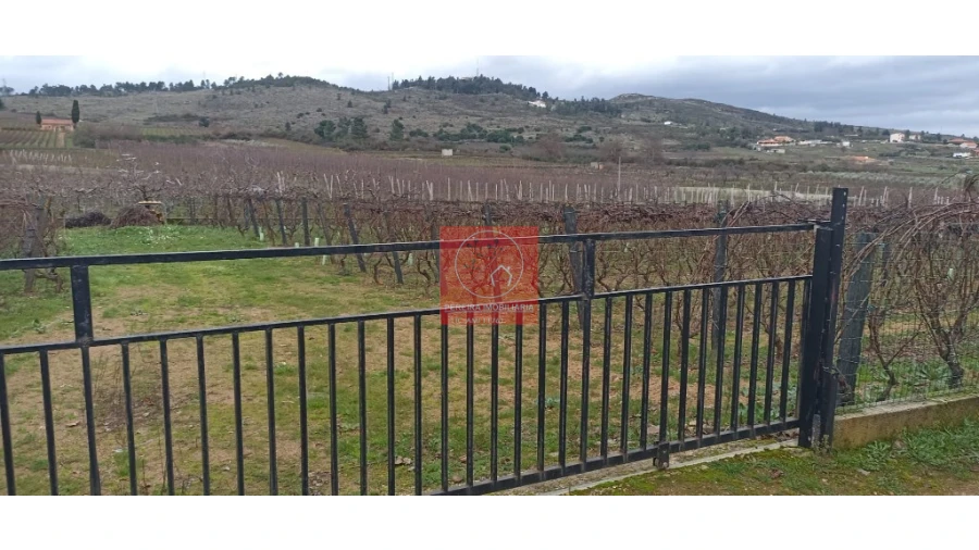 Quinta para Venda em Fontelo Foto 4