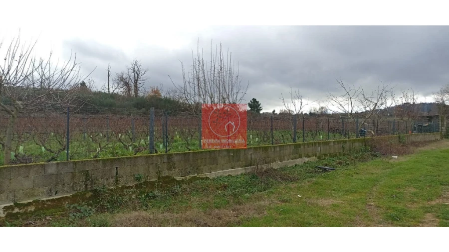 Quinta para Venda em Fontelo Foto 6