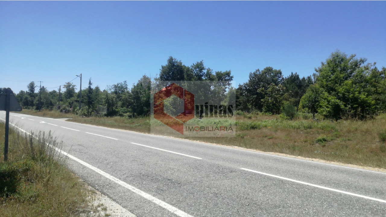 Terreno Agricola ou Rústico para Venda em Sabugal e Aldeia de Santo António Foto 1