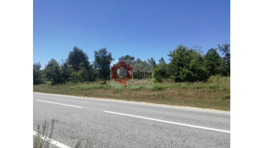 Terreno Agricola ou Rústico para Venda em Sabugal e Aldeia de Santo António Foto 3