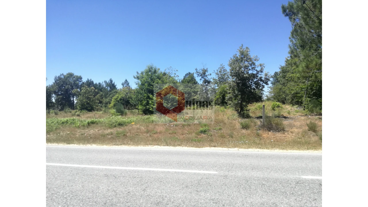 Terreno Agricola ou Rústico para Venda em Sabugal e Aldeia de Santo António Foto 2