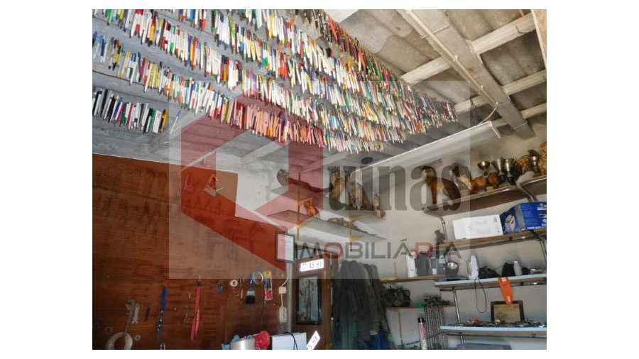 Quinta T3 para Venda em Sabugal e Aldeia de Santo António Foto 16