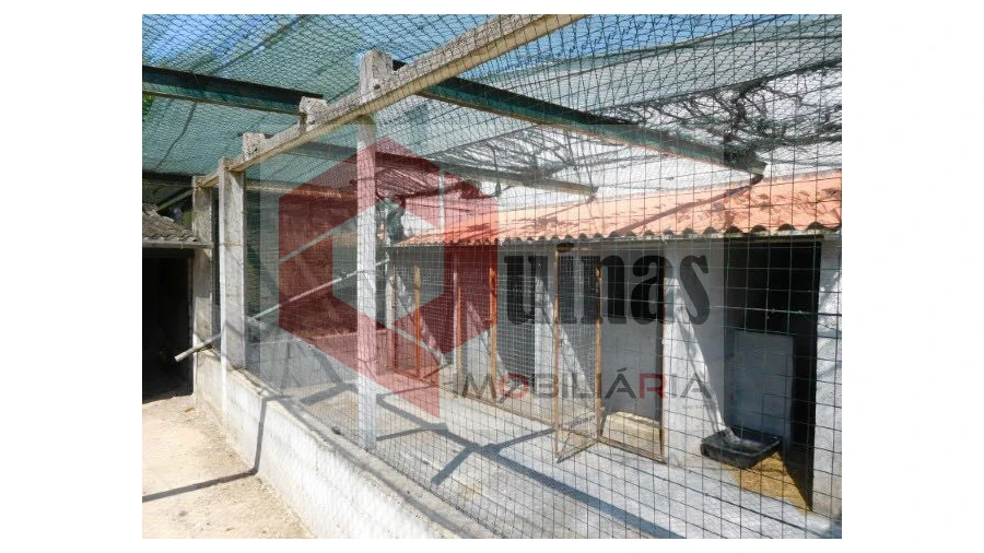 Quinta T3 para Venda em Sabugal e Aldeia de Santo António Foto 19