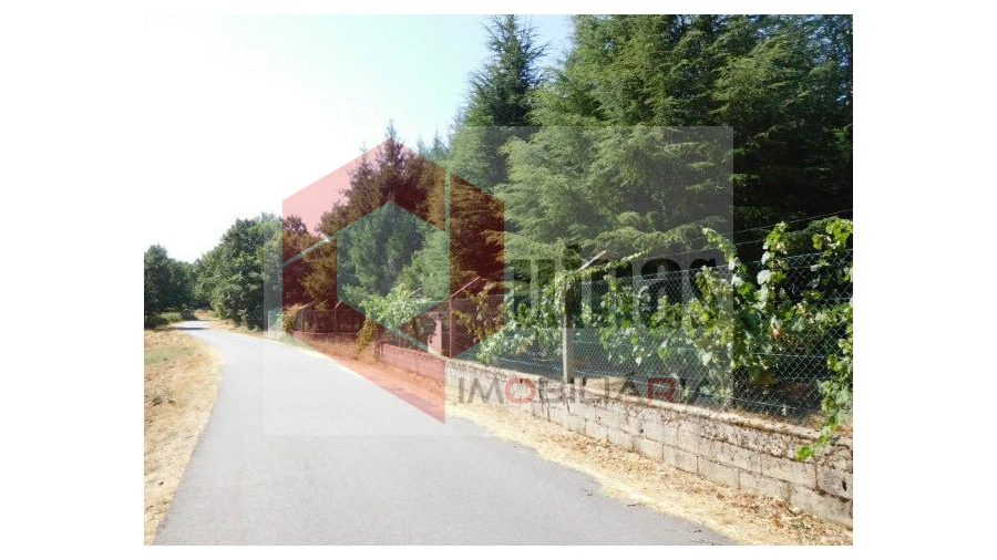 Quinta T3 para Venda em Sabugal e Aldeia de Santo António Foto 8