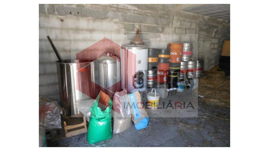 Quinta T3 para Venda em Sabugal e Aldeia de Santo António Foto 48