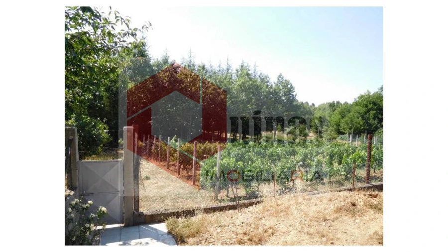 Quinta T3 para Venda em Sabugal e Aldeia de Santo António Foto 4