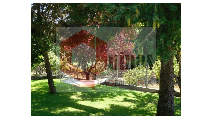 Quinta T3 para Venda em Sabugal e Aldeia de Santo António Foto 13