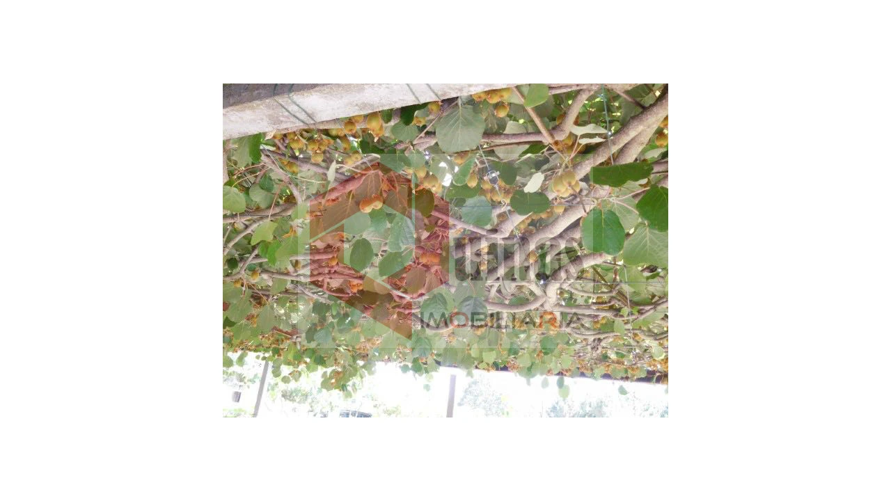 Quinta T3 para Venda em Sabugal e Aldeia de Santo António Foto 14