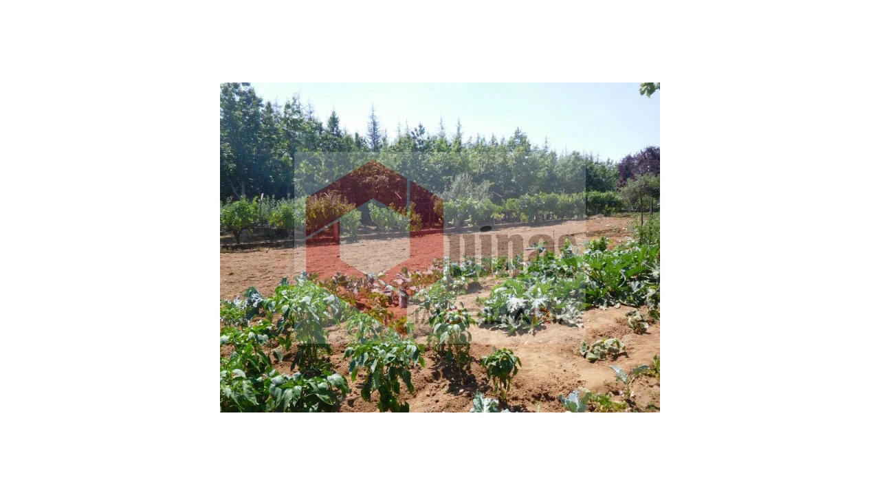 Quinta T3 para Venda em Sabugal e Aldeia de Santo António Foto 11