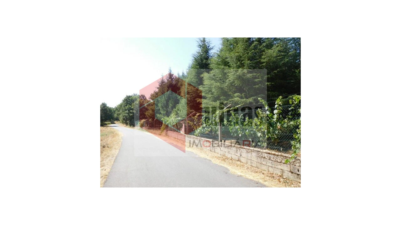 Quinta T3 para Venda em Sabugal e Aldeia de Santo António Foto 8