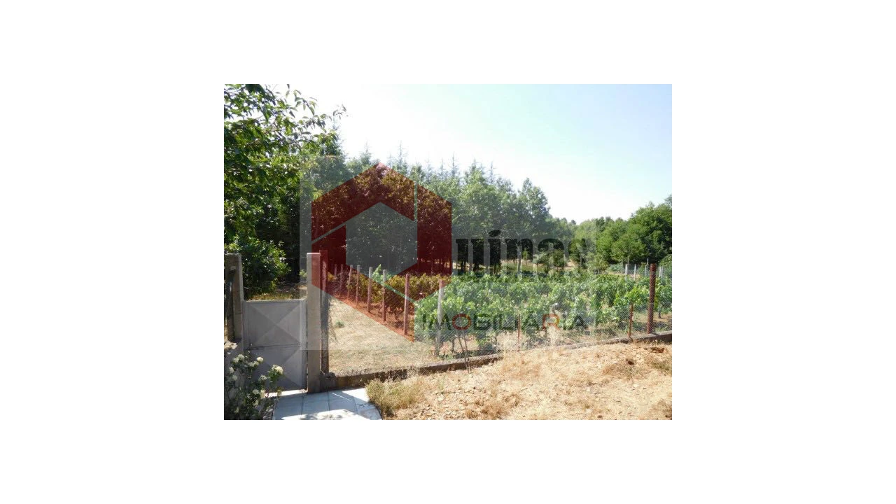 Quinta T3 para Venda em Sabugal e Aldeia de Santo António Foto 4