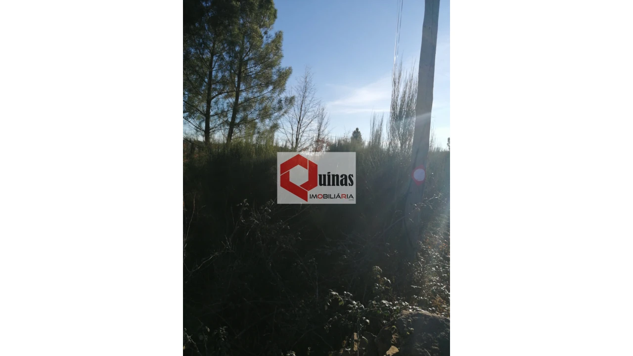 Terreno para Venda em Sabugal e Aldeia de Santo António Foto 6