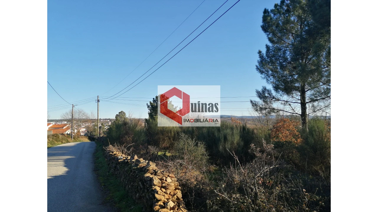 Terreno para Venda em Sabugal e Aldeia de Santo António Foto 1
