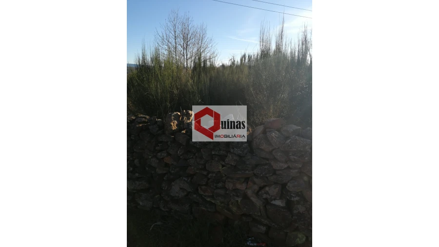 Terreno para Venda em Sabugal e Aldeia de Santo António Foto 4