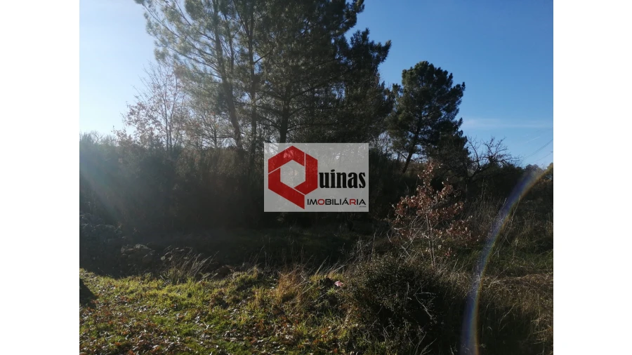 Terreno para Venda em Sabugal e Aldeia de Santo António Foto 2