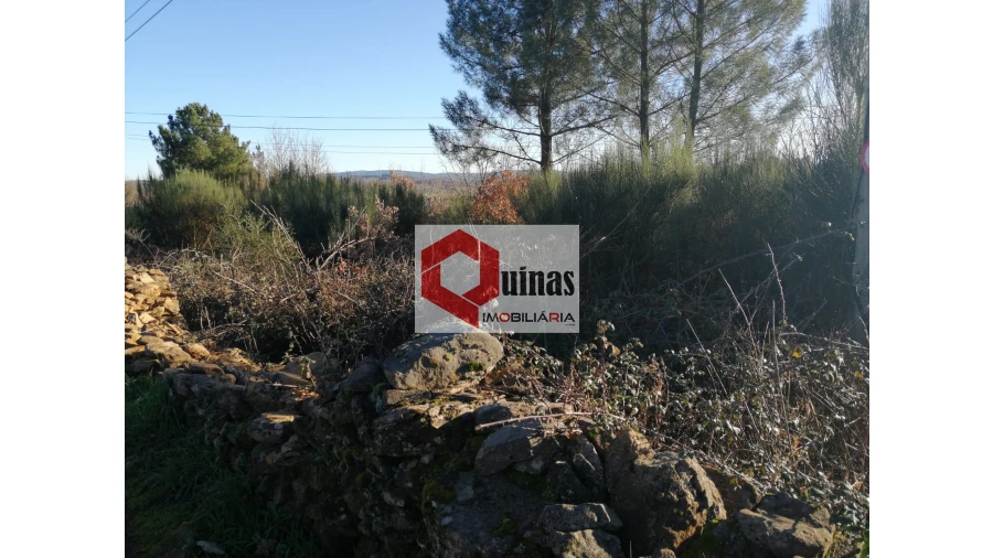 Terreno para Venda em Sabugal e Aldeia de Santo António Foto 7