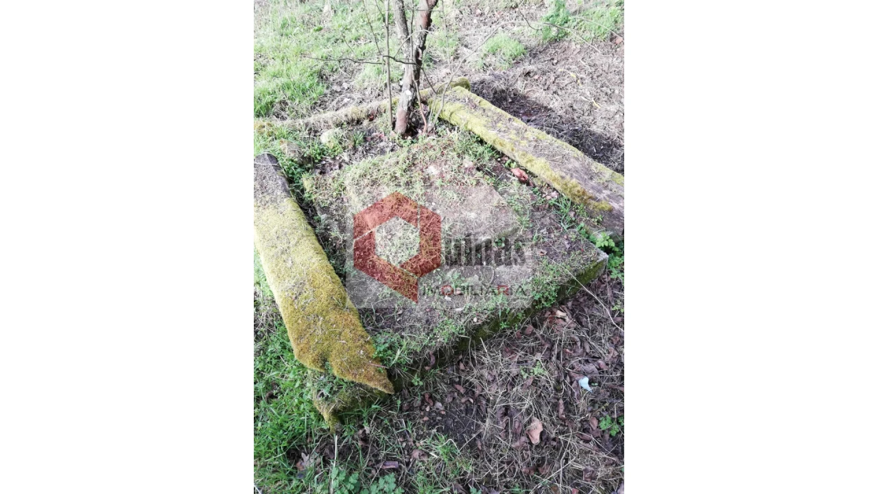 Moradia T0 para Venda em Sabugal e Aldeia de Santo António Foto 34