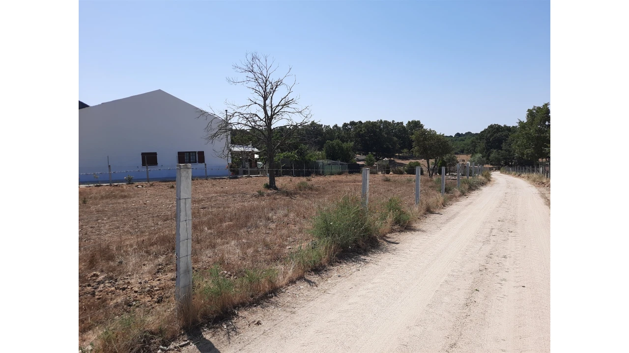 Terreno para Venda em Sabugal e Aldeia de Santo António Foto 2