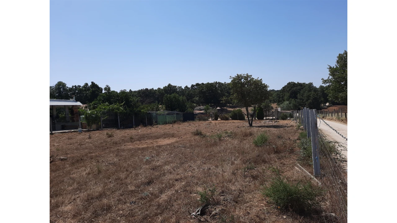Terreno para Venda em Sabugal e Aldeia de Santo António Foto 8