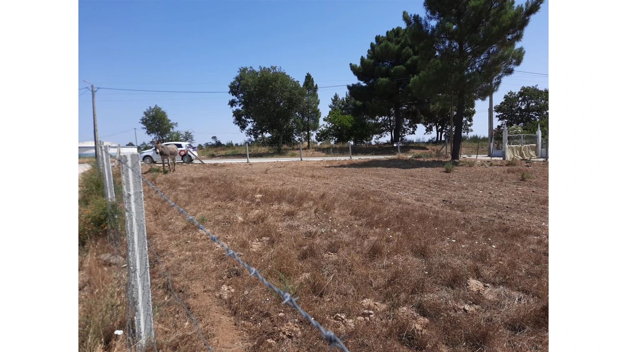 Terreno para Venda em Sabugal e Aldeia de Santo António Foto 7