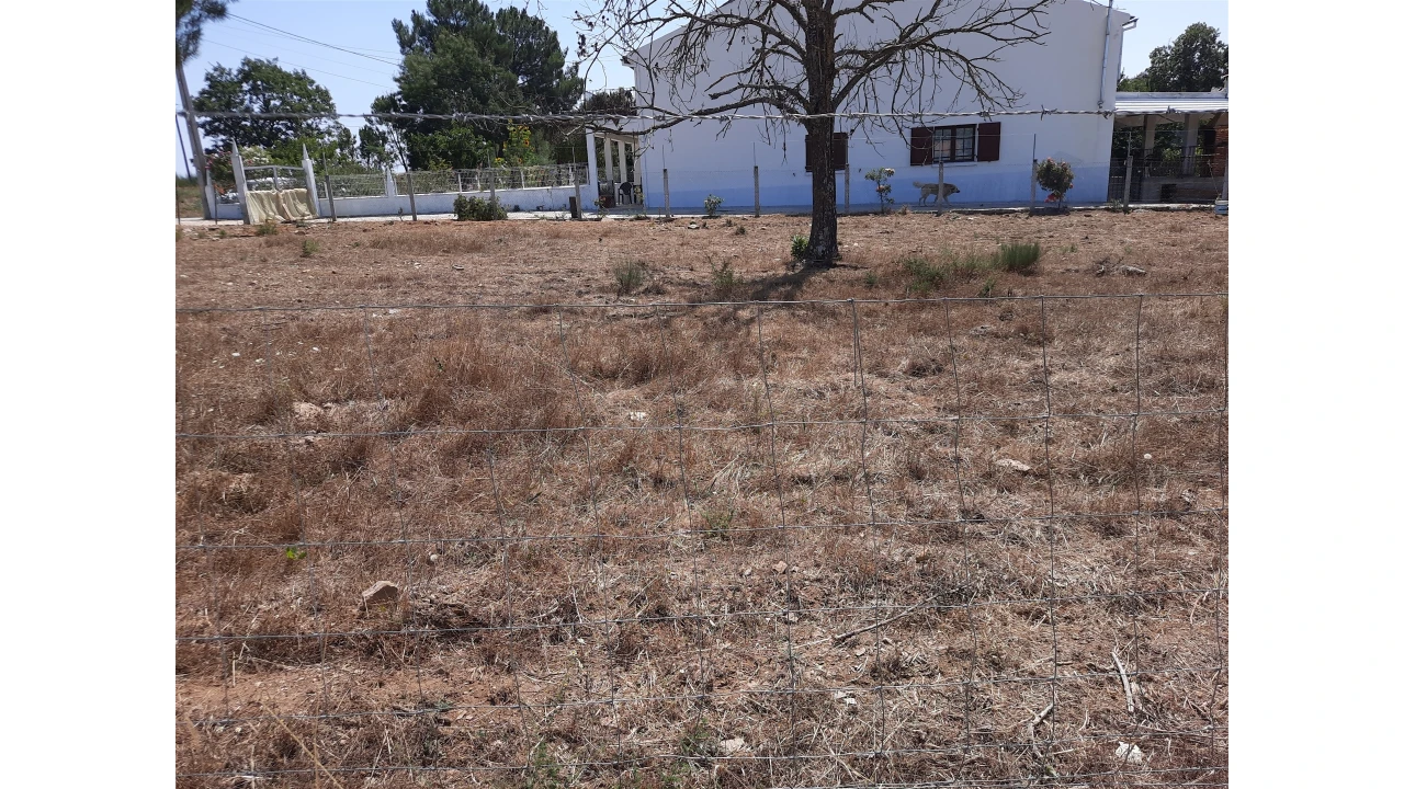 Terreno para Venda em Sabugal e Aldeia de Santo António Foto 6