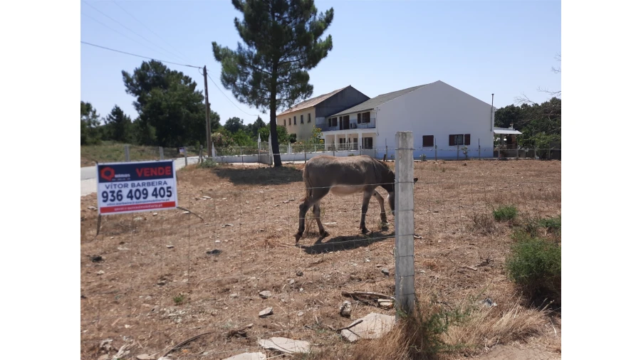 Terreno para Venda em Sabugal e Aldeia de Santo António Foto 1