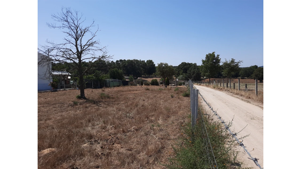 Terreno para Venda em Sabugal e Aldeia de Santo António Foto 5