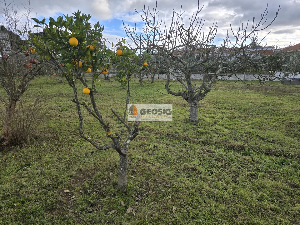 Moradia T4 para Venda em Rosario Foto 29