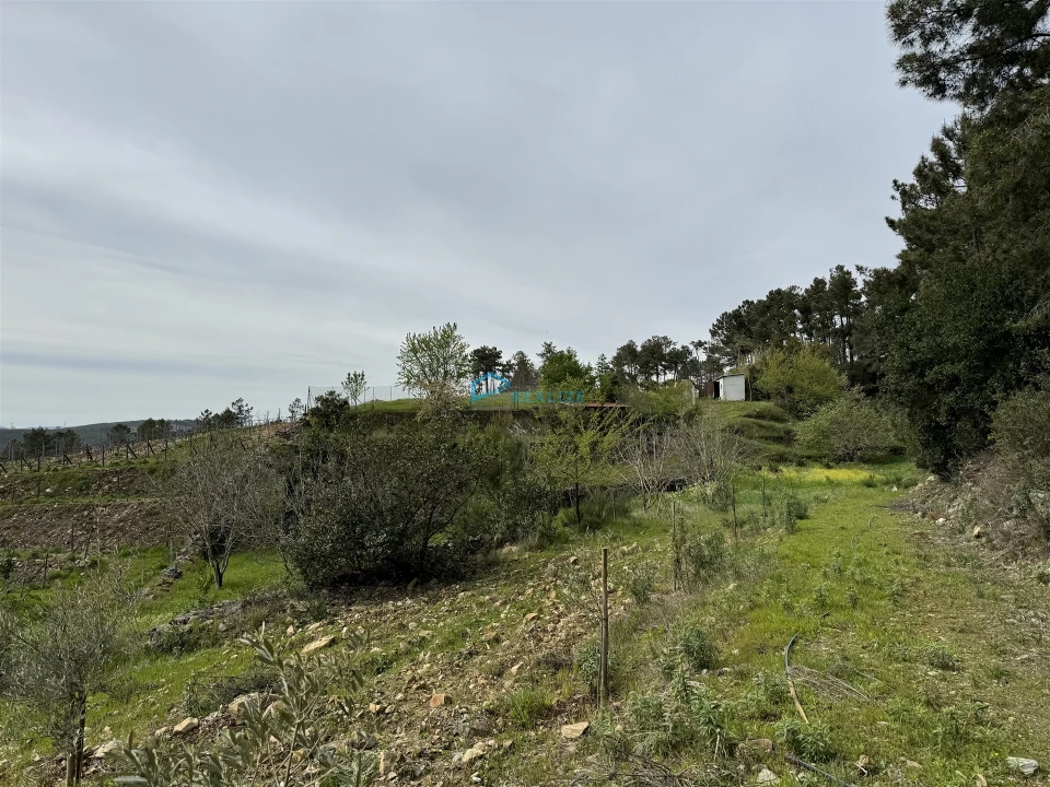 Terreno para Venda em São Martinho de Antas e Paradela de Guiães Foto 26