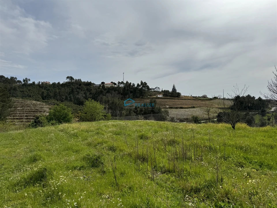 Terreno para Venda em São Martinho de Antas e Paradela de Guiães Foto 2
