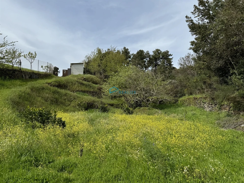 Terreno para Venda em São Martinho de Antas e Paradela de Guiães Foto 21