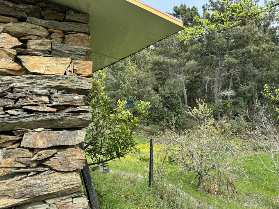 Terreno para Venda em São Martinho de Antas e Paradela de Guiães Foto 17