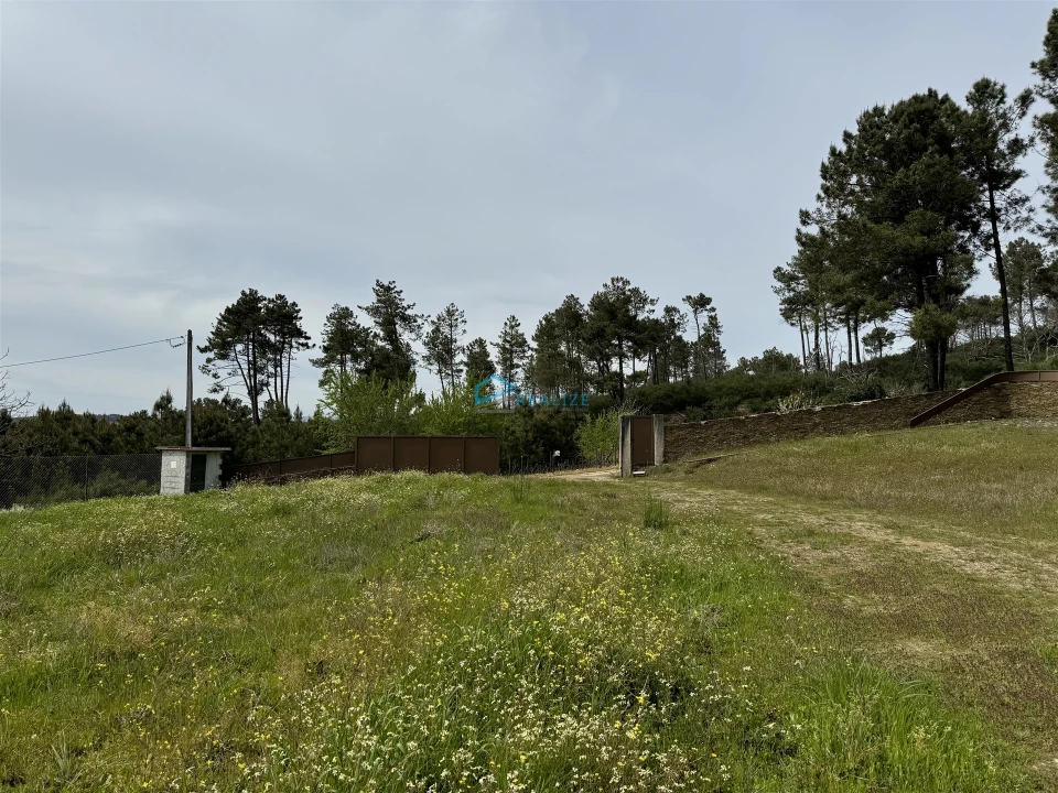 Terreno para Venda em São Martinho de Antas e Paradela de Guiães Foto 1