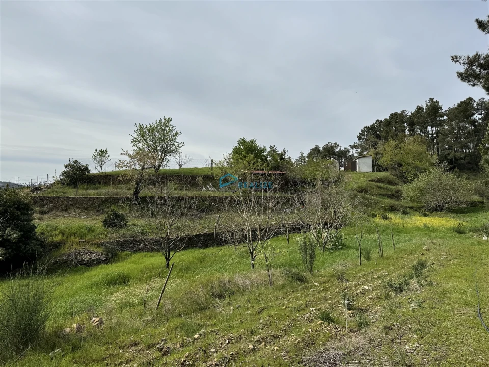 Terreno para Venda em São Martinho de Antas e Paradela de Guiães Foto 24