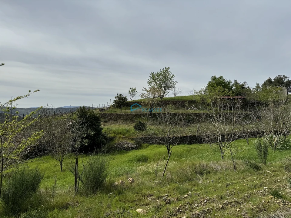 Terreno para Venda em São Martinho de Antas e Paradela de Guiães Foto 25