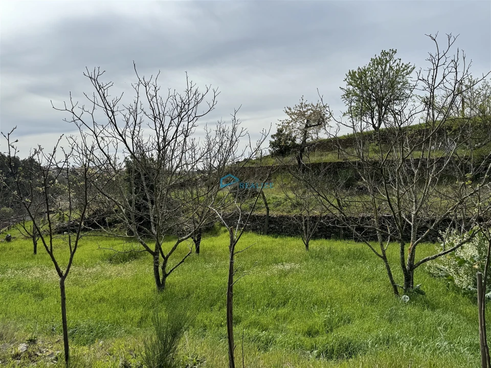 Terreno para Venda em São Martinho de Antas e Paradela de Guiães Foto 22