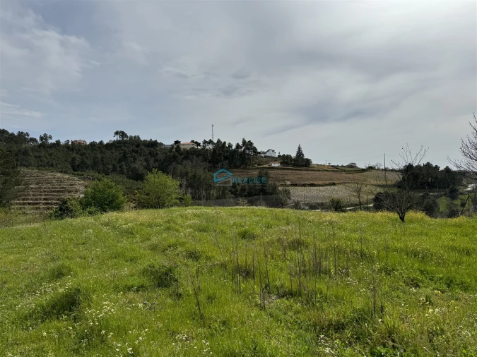 Terreno para Venda em São Martinho de Antas e Paradela de Guiães Foto 2