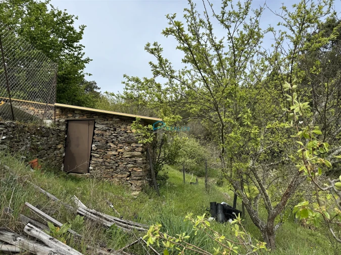 Terreno para Venda em São Martinho de Antas e Paradela de Guiães Foto 16