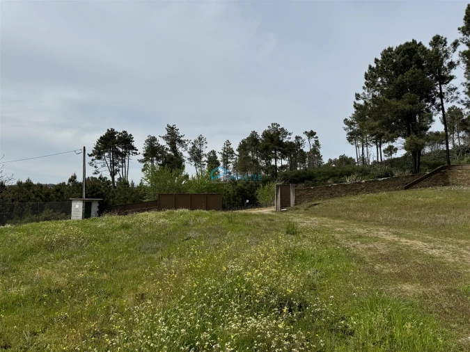 Terreno para Venda em São Martinho de Antas e Paradela de Guiães Foto 1